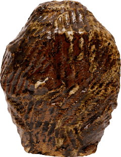 BuddyOptical web site 2025 image3